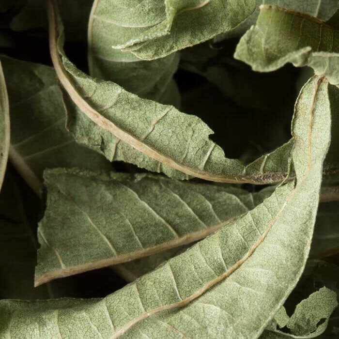 TISANE DAMMANN – Verveine – Image 2